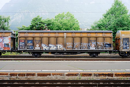 brown train during daytime thumbnail