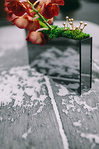 Miniature ornamental plants in rectangular boxes thumbnail