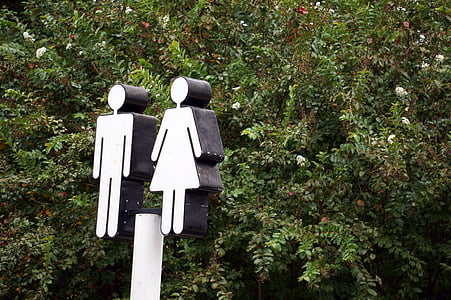 male and female street sign near trees thumbnail