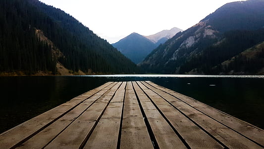 brown wooden boardwalk near body of water during daytime thumbnail