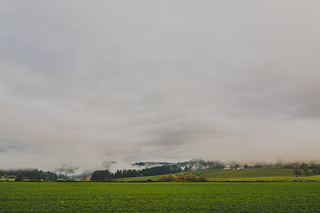 green grass field near the mountain with tree under white cloud thumbnail