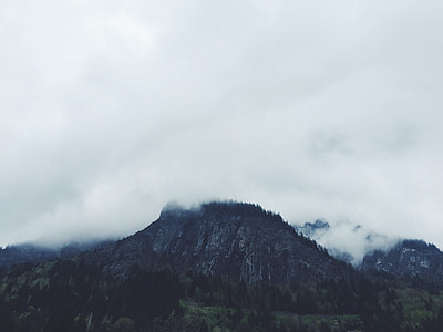 brown mountains surrounded by green trees thumbnail