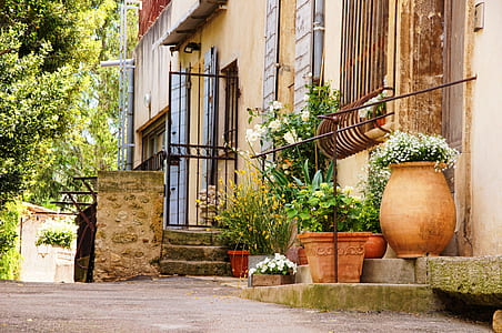 black steel gate and brown clay pots thumbnail