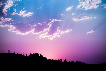 silhouette of trees and electric posts thumbnail