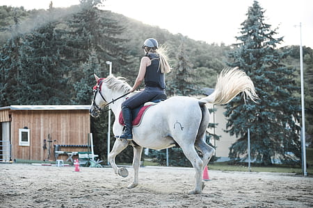 woman riding on white horse thumbnail