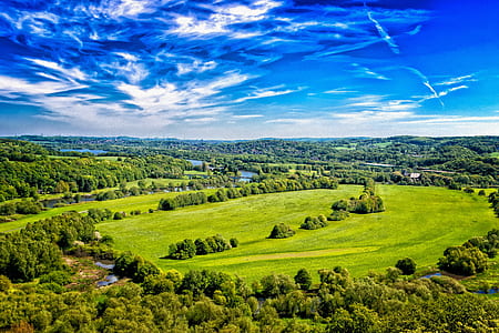 photo of forest and body of water thumbnail