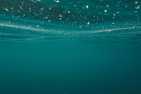 underwater photography thumbnail