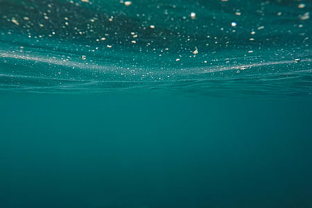 green, underwater, photo, water thumbnail