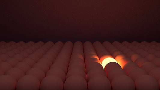 incubated eggs photo thumbnail