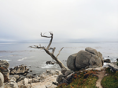 gray rocks near body of water thumbnail