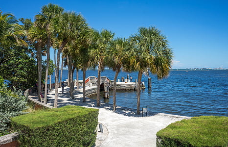 scenery of beach shore thumbnail