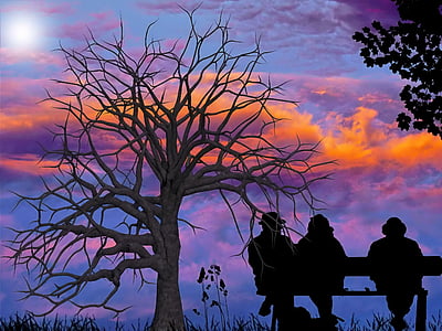 brown bare tree and silhouette of three person sitting on bench thumbnail