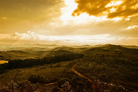 forest trees under orange clouds thumbnail