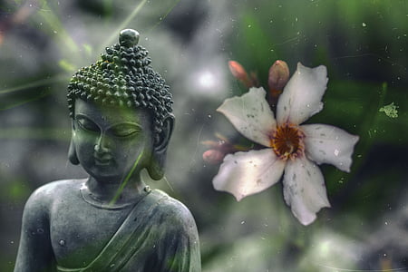 gray Buddha beside white adenium close up photo thumbnail