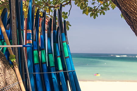 blue surfboards tied on tree thumbnail