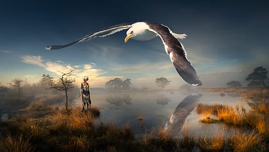 brown and white eagle flying in the sky during dawn thumbnail