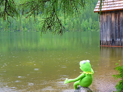 Kermit the Frog on body of water thumbnail