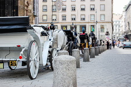 carriage lined on street thumbnail