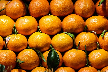 orange fruit lot thumbnail