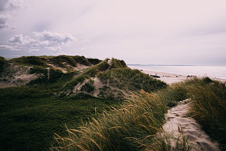 landscape photo of field of green grass near shore thumbnail