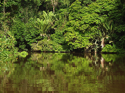 Tortuguero National Park, Costa Rica thumbnail