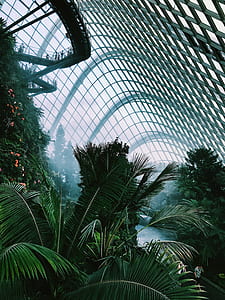 architecture, path, building, glass thumbnail