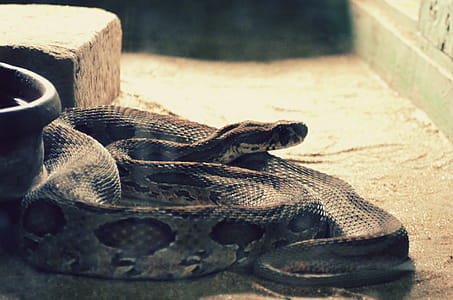 Python thumbnail