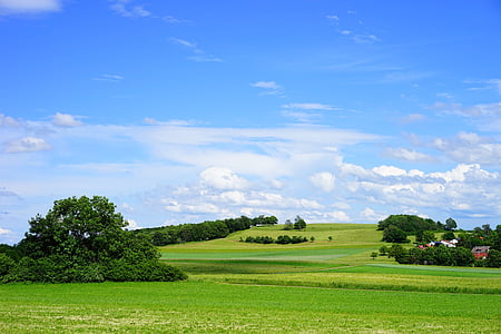 green grass field under blue and white sky thumbnail