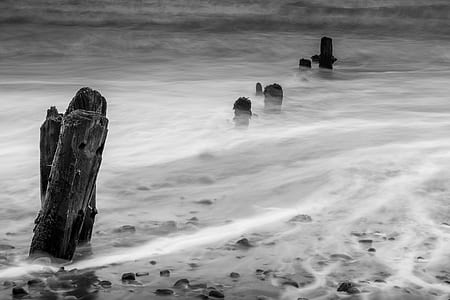 driftwood in water thumbnail
