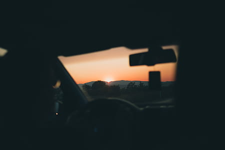 silhouette photo of trees during sunset thumbnail