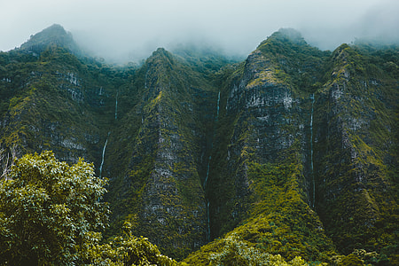 landscape photography of mountain with green trees thumbnail