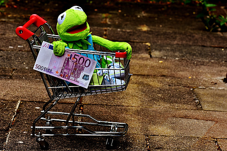 Muppets frog on shopping card holding 500 banknote thumbnail