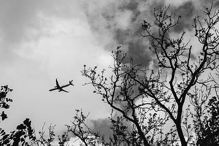 Black-and-White Photography of Airplane thumbnail