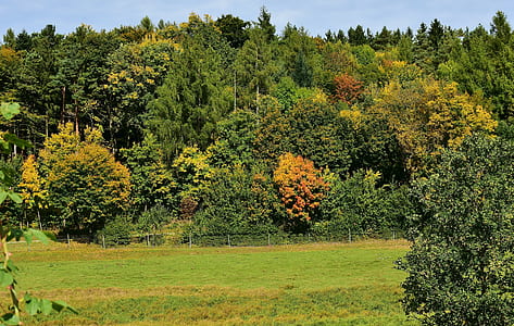 landscape photography of grass field surrounded with trees thumbnail