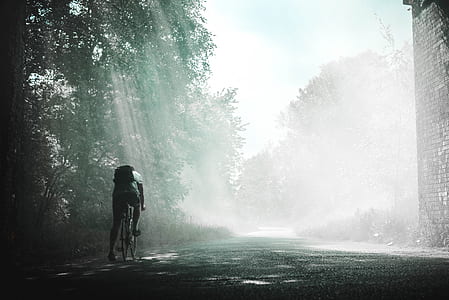 person riding on bicycle near green trees during daytime thumbnail
