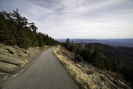 Clingman's Dome Trail to the top landscape in Great Smoky Mountains National Park, Tennessee thumbnail