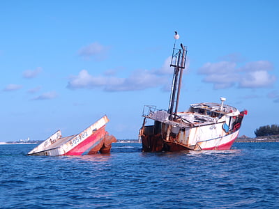 white boat on body of water thumbnail