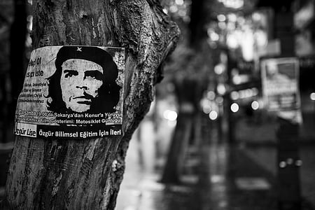 Che Guevara photo on tree thumbnail