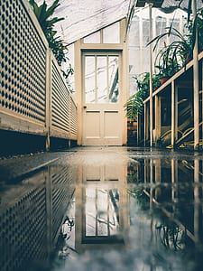 greenhouse with white door thumbnail