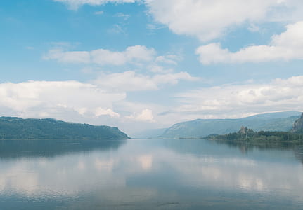 forest beside body of water during daytime thumbnail