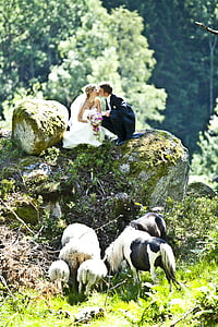 married couple kissing on rock during daytime thumbnail