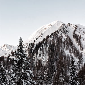 landscale photography of snow-covered mountain near pine trees under cloudy sky thumbnail