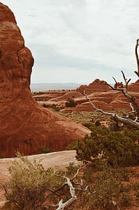 Brown Rock Formation Near Trees thumbnail