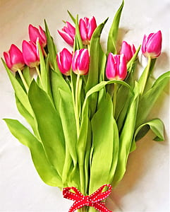 pink tulip bouquet thumbnail