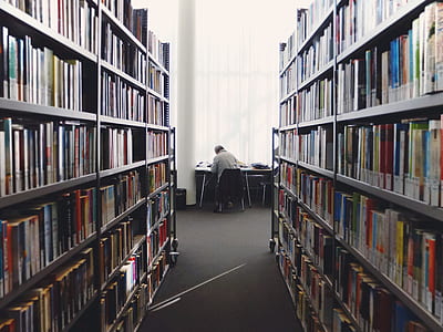 person reading front of table near wall in library thumbnail