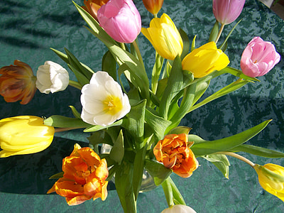 Tulip Bouquet, Colorful Tulips thumbnail