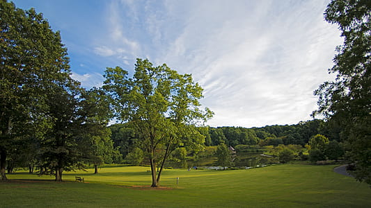 green grass field and trees under white and blue sky thumbnail
