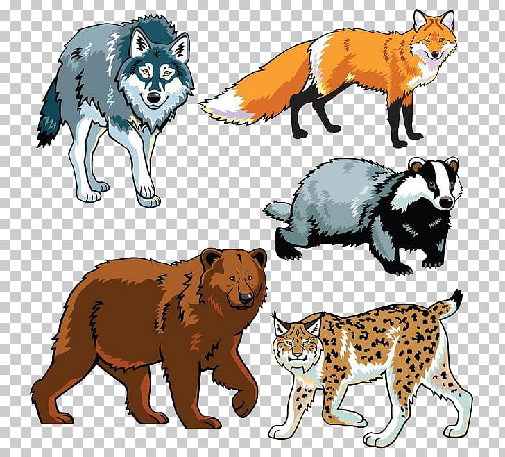Wildlife Drawing Animal Forest Animals Png Clipart Free Cliparts Uihere