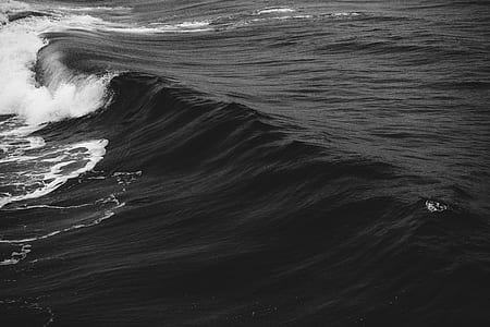 grayscale photography of sea wave thumbnail