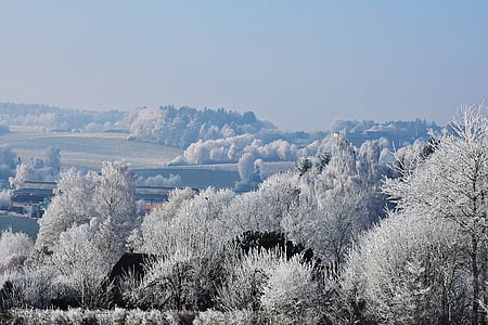 trees and mountain covered with snow thumbnail
